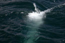 DORUS MOR WHIRLPOOL